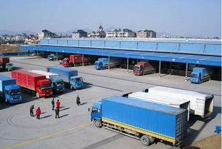 滴滴貨運入場 道路貨物運輸領域的“鯰魚效應”與行業變革展望